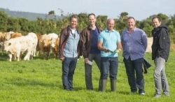 Beef-Tour durch Irland: Deutsche Spitzenköche gingen auf Reise
